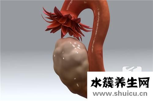 tct結果