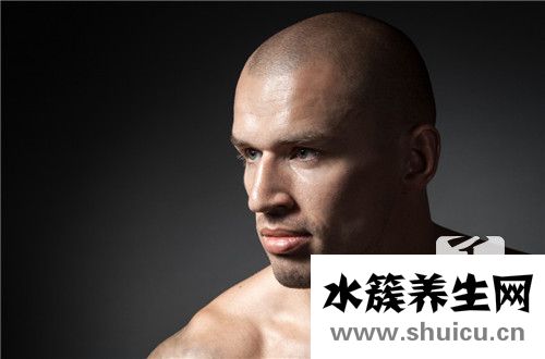 禿頂遺傳規律圖