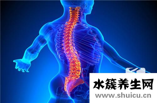脊椎骨質增生