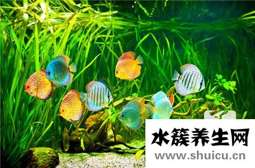 加熱棒使用