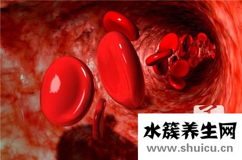 喝什么補氣血
