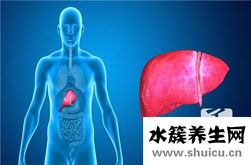 肝內脂質沉積