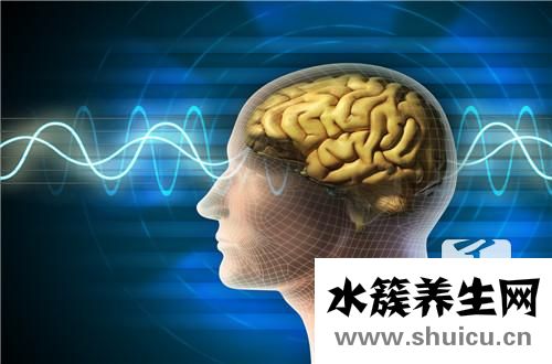 小腦發育不良癥狀