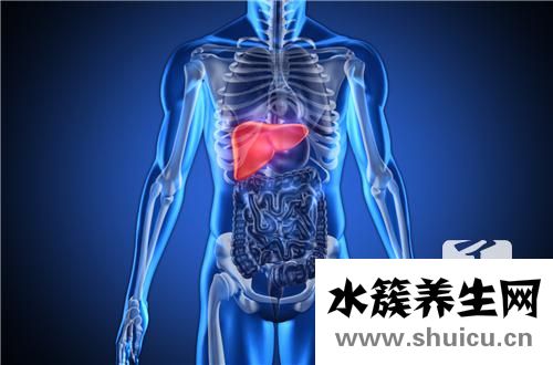 肝膽彩超