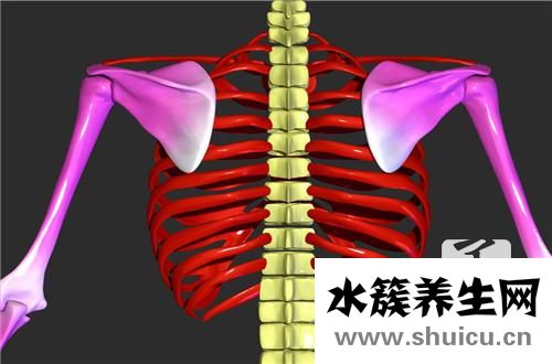 右胸上部隱痛