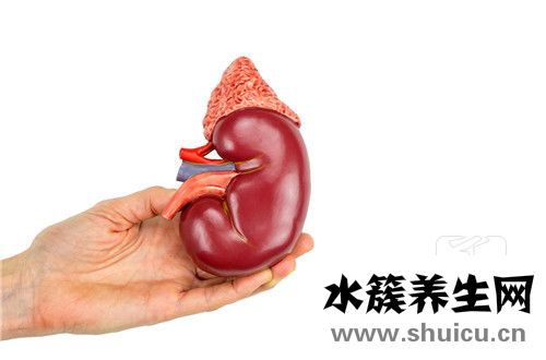 紅斑狼蒼