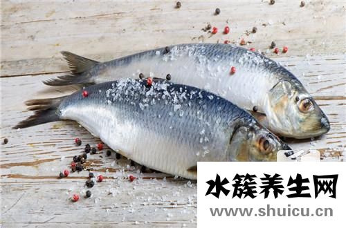 桂魚刺多嗎