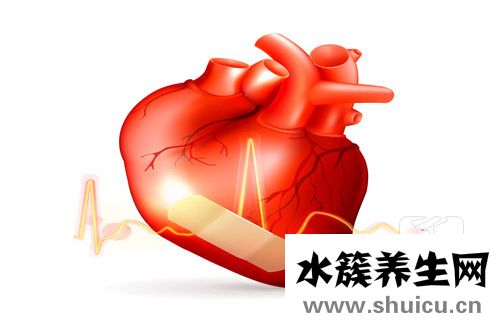 收縮期雜音