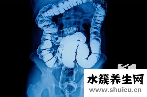 腸悉上靜脈