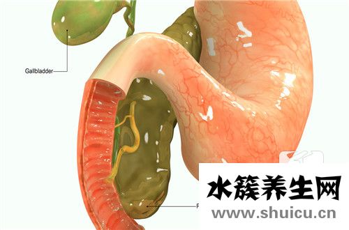 胰腺手術