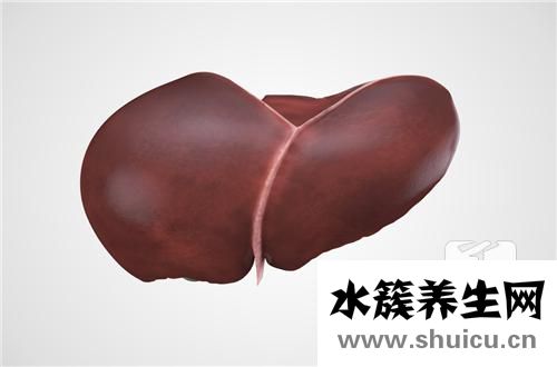 肝臟硬度值