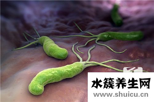 后悔殺幽門