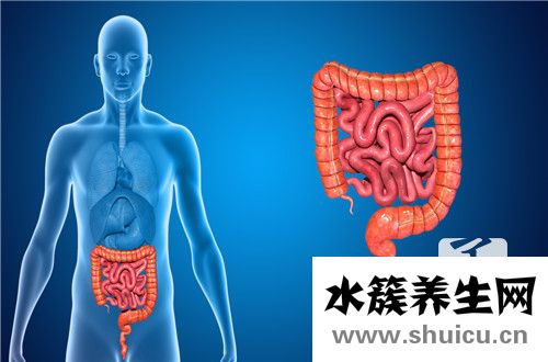 十二指腸淤滯癥