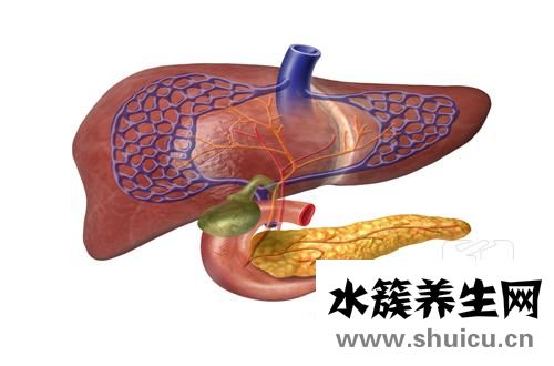 肝臟什么檢查最清楚