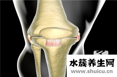 左髖關節疼