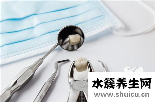 上智齒