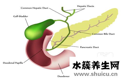 膽管癌晚期