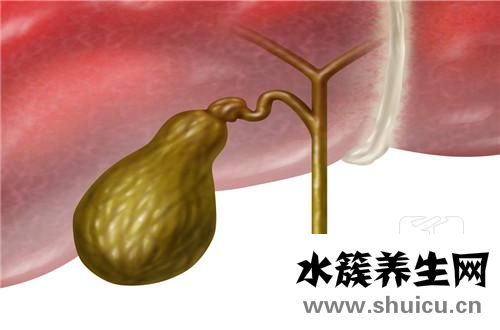膽囊腫瘤