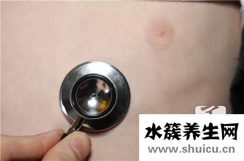 肺有幾葉