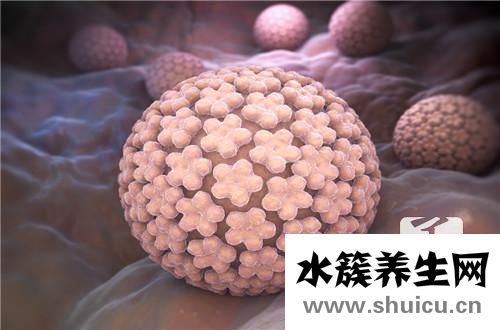 人乳頭瘤病毒陽性