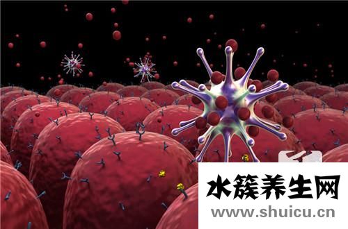 人乳頭瘤病毒陽性