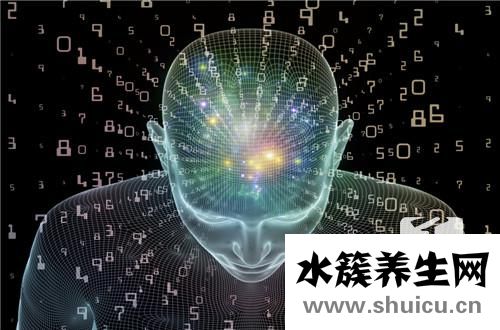 智商低辦
