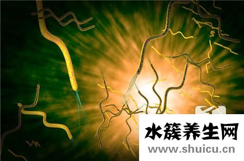 胃部幽門