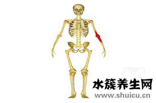 股骨頸骨折治療