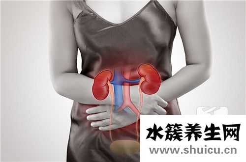 輸尿管結石治療