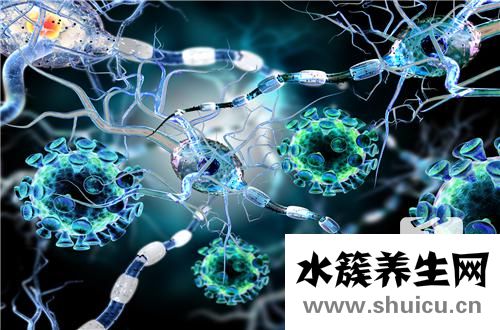 關節面