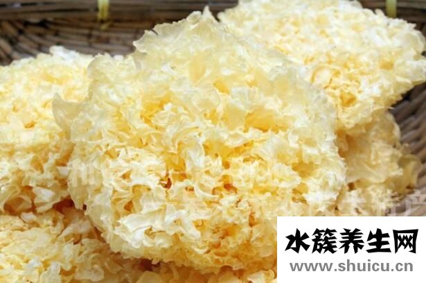 清肺的食物