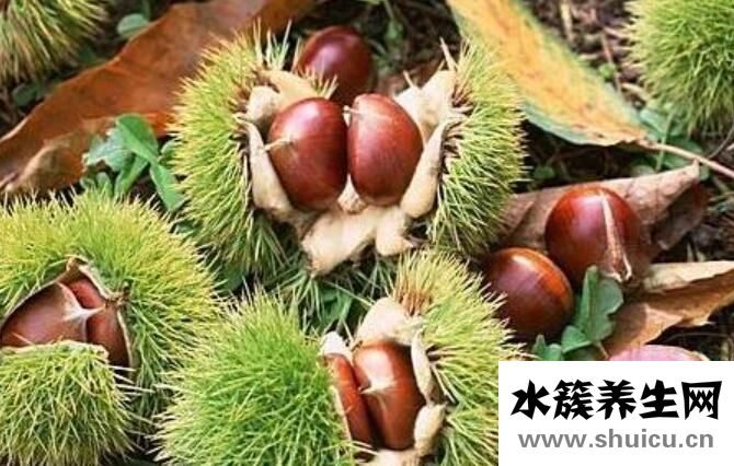 補腎的水果
