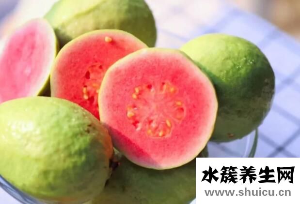 芭樂的功效與作用禁忌