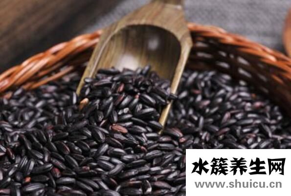 男人養腎最佳10食物