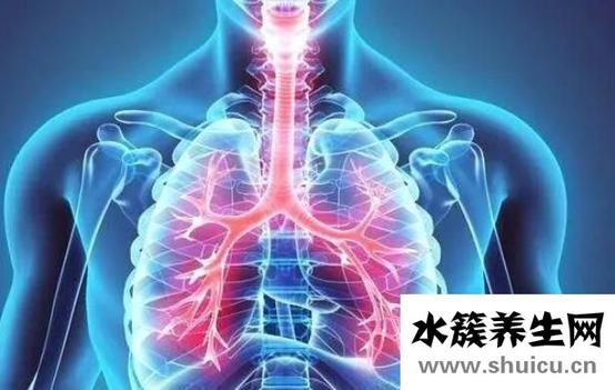 肺癆是什么病