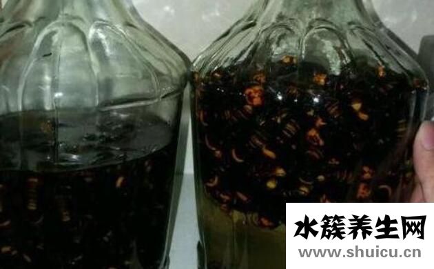 土蜂泡酒
