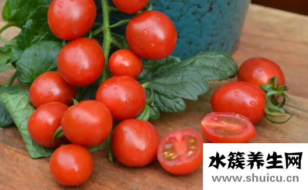 圣女果和西紅柿的區別