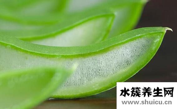 蘆薈食用禁忌