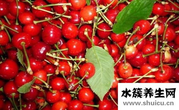 七種暖胃水果