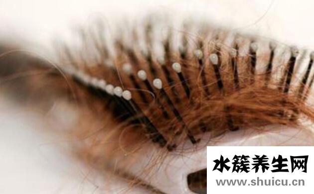 頭發掉的厲害
