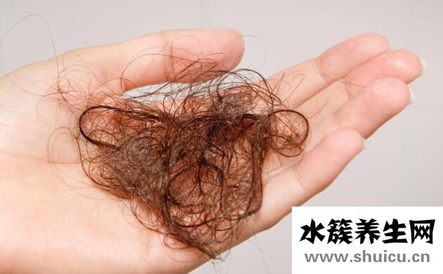 頭發掉的厲害