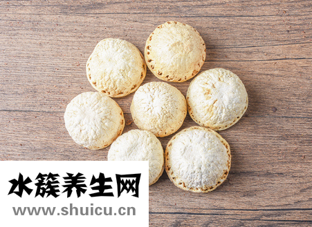 厚鱗柯