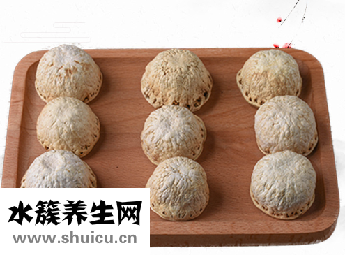 厚鱗柯