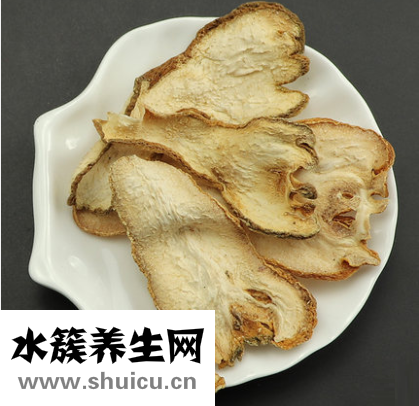 佛手圖片