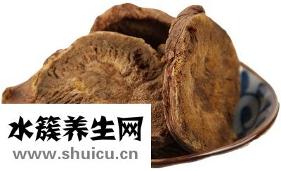 大黃圖片
