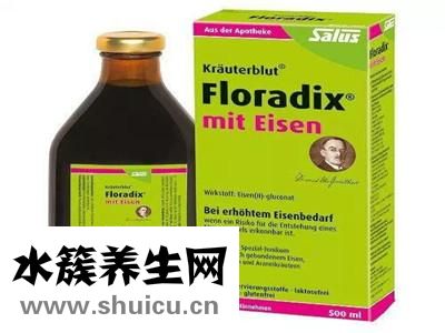 德國鐵元