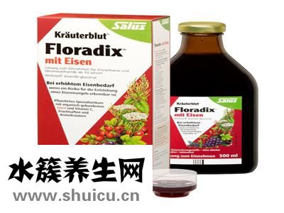 德國鐵元