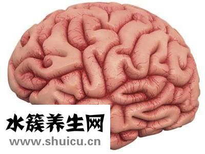 輕度腦萎縮
