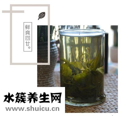 絞股藍茶多少錢一斤