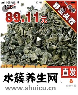 淘寶羅布麻茶